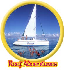 catamaran reef adventure