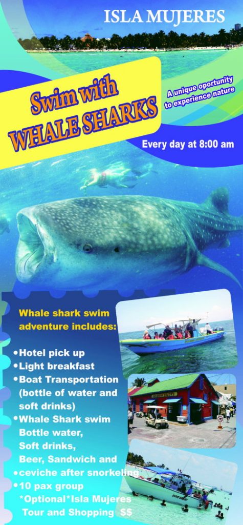 Whale Shark Tour Flyer