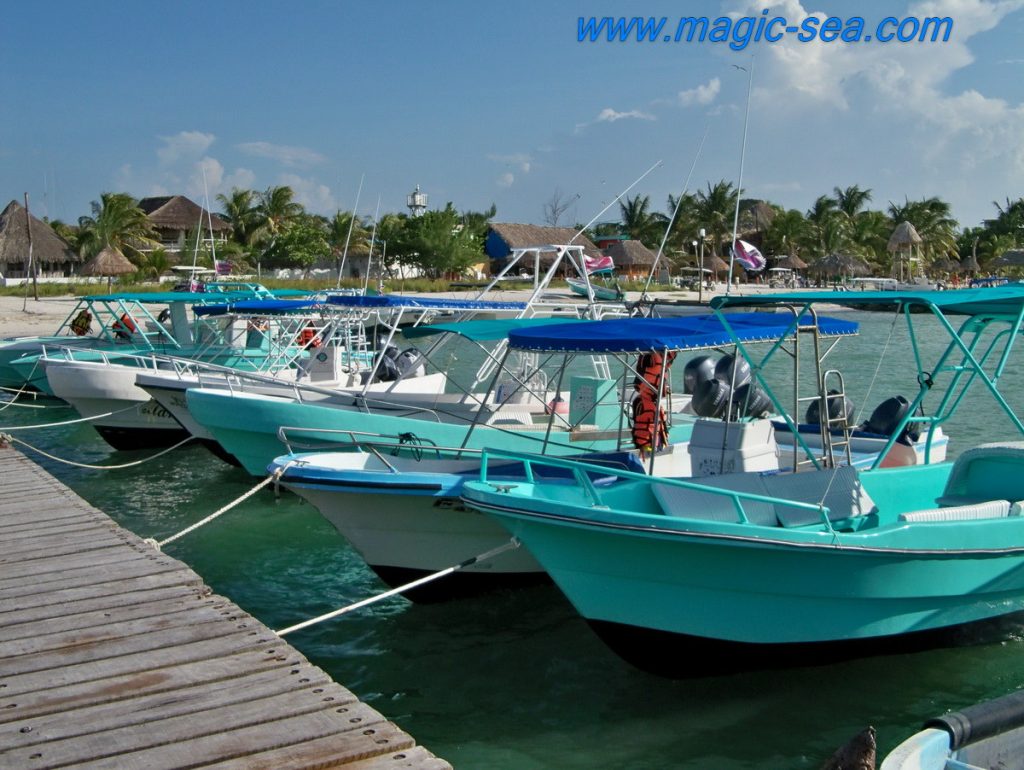 Holbox boat's tours