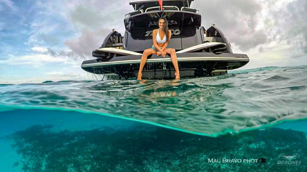 ⚠️南海の黒豹 ⚠️南海の黒豹 One of the Stealthiest Creatures on Earth - New